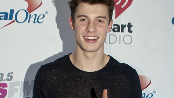 Shawn Mendes : pic de chaleur sur Instagram!