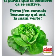 Il parait que la connerie, ça se cultive !