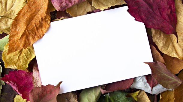 Les infos du Réveil Chérie : un jeune scientifique a trouvé comment transformer des feuilles mortes en papier