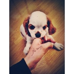Shy'm et son nouveau compagnon