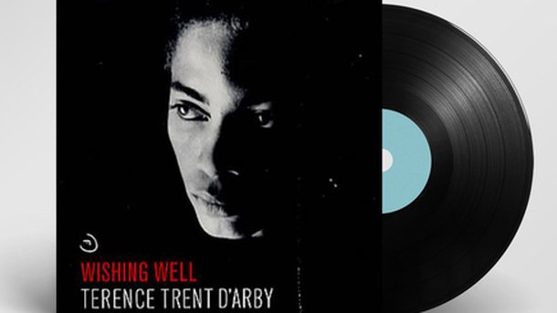 100% Vinyle : Terence Trent d'Arby - Wishing Well