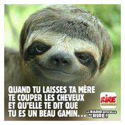 Blague : Une bien belle coupe de cheveux