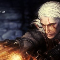 The Witcher (1)