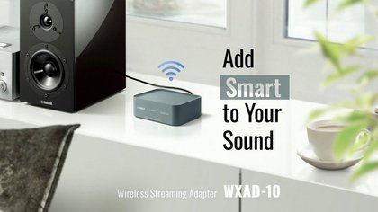 Yamaha MusicCast WXAD 10