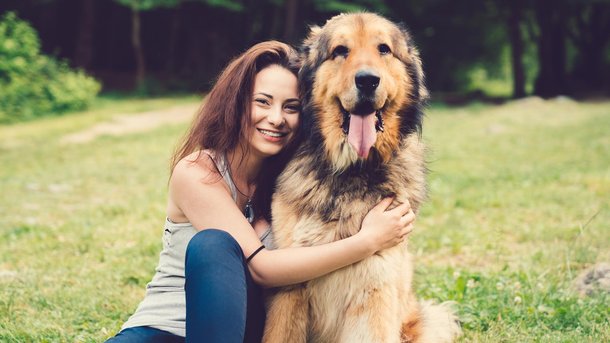 Les infos du Réveil Chérie : Pourquoi les chiens ressemblent souvent à leurs maîtres ?