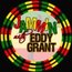 Eddy Grant