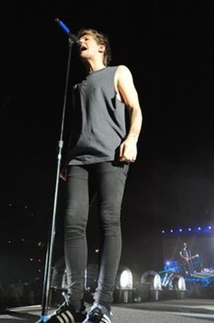 Les One Direction en concert à Chicago