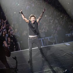 Harry Styles - L'Annuel Officiel 2015