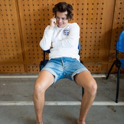 Harry Styles - L'Annuel Officiel 2015