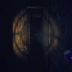The Suicide of Rachel Foster