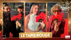Tapis Rouge : zoom sur les tenues flamboyantes des stars aux NRJ Music Awards