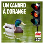 Blague pourrie du jour