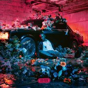 Fleur Froide - Second État : La Cristallisation
