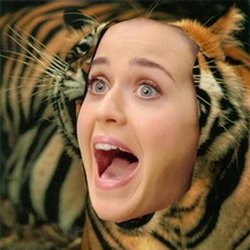 Katy Perry : "c'est génant mais j'aime ça"