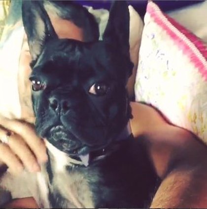 Lady Gaga et Taylor Kinney dans l'intimité