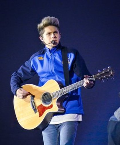 Niall live au UK Stadium Tour, the Stadium of Light, le 28 mai, 2014. 