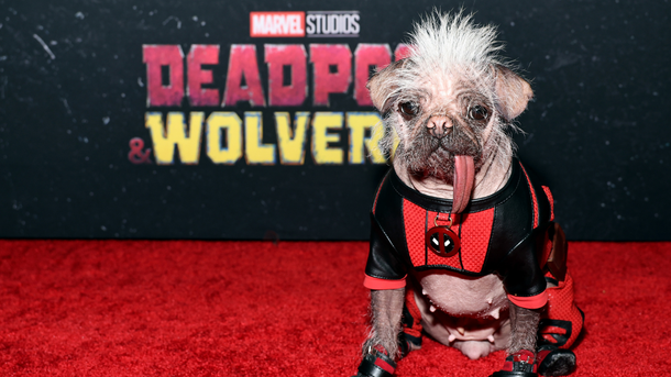 « Deadpool & Wolverine » : Dogpool, le nouveau compagnon du super-héros, fait sensation