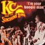 KC AND THE SUNSHINE BAND
