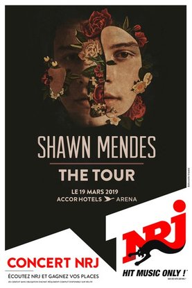 Shawn Mendes AHA
