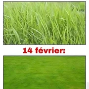 Blague sur la Saint Valentin : quelle est la différence entre le 13 février et le 14 février