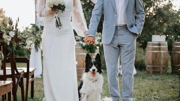 Les infos du Réveil Chérie : Aux États-Unis, votre témoin de mariage peut être... votre chien !