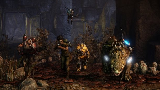 TEST : Evolve