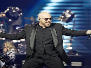 Pitbull
