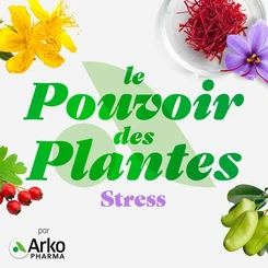 Le Stress