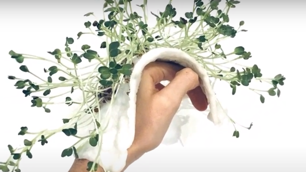 Les infos du Réveil Chérie : Une créatrice de mode fait pousser des plantes sur des vêtements