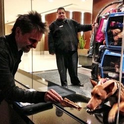 Muse : Matt donne un os a un chien à Détroit...