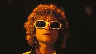 Les années 1970, ou les années Michel Polnareff