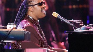 Stevie Wonder