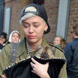 miley-cyrus