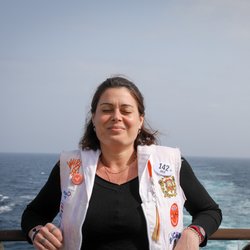 La liaison bateau