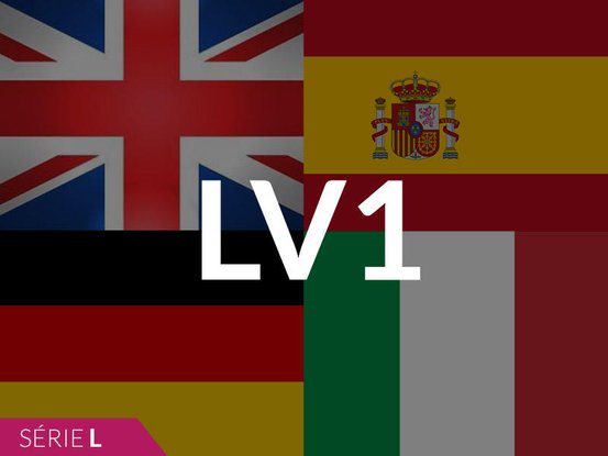 BAC L LV1