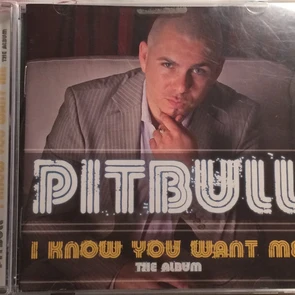 I Know You Want Me The Album