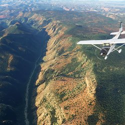 Microsoft Flight Simulator