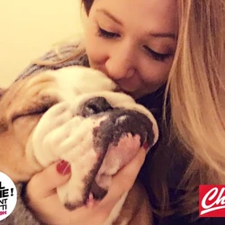 Selon une étude, les chiens n'aiment pas les câlins