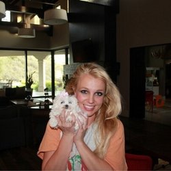 Britney Spears : dites bonjour à mon nouveau bébé