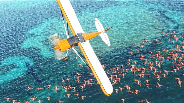Flight Simulator : une envolée des plus réalistes