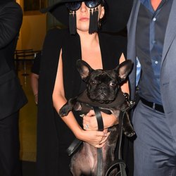 Lady Gaga et ses lunettes
