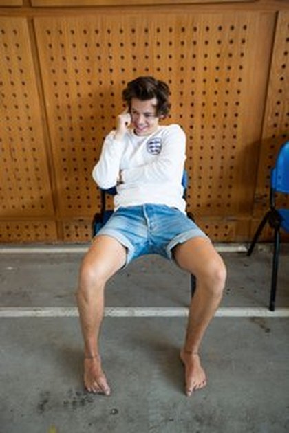 Harry Styles - L'Annuel Officiel 2015
