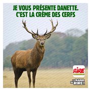 Dans la série jeu de mots pourri ...