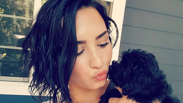 Demi Lovato présente son nouveau compagnon!