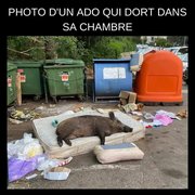 Une chambre d'ado...