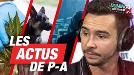 LES ACTUS DE PA : Abandons, Hakers en retraite et cannabis - DominGo Radio Stream sur NRJ