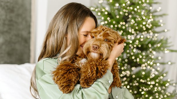 Les infos du Réveil Chérie : Quelles sont les 10 races de chiens préférées des Français en 2025 ?