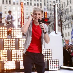 Niall Horan : un ado bien dans ses baskets