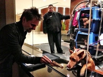 Muse : Matt donne un os a un chien à Détroit...