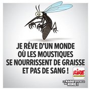 été : et si les moustiques étaient autrement ...
